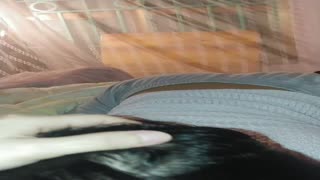 VID 20240528 003352 285