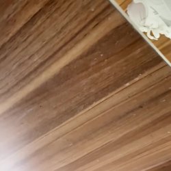 Chinese Toilet Voyeur