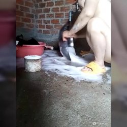 Naked Chinese Laundromat Squirt 💦💦