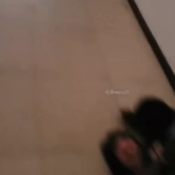 Chinese Slut Gets Fucked By Bbc In Apartment Hallway