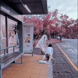 japanese taking the tail of her friend