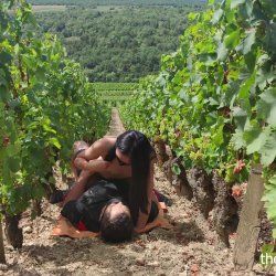 This is why the wine is so good. It grows in good conditions