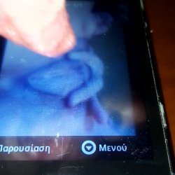 fuck piss lick for erome sluts