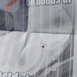 Asian latina American European African ebony Arab girl milf teen from X & erome public expose